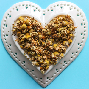 Chamomile Herbal Tisanes | Hamilton Ontario Tea Amo
